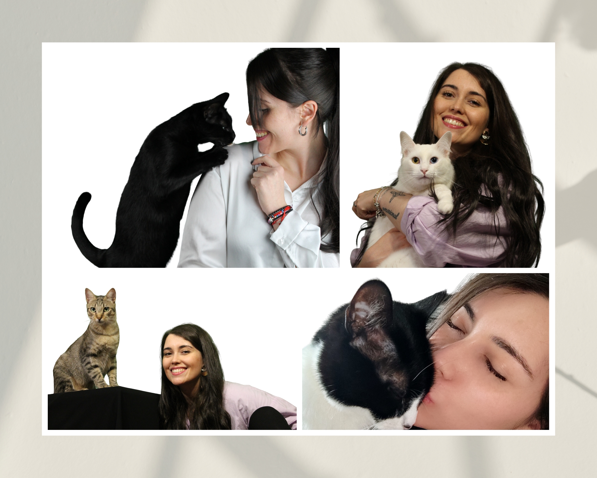 sobre nosotros interior